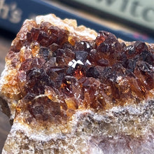 Load image into Gallery viewer, Citrine Crystal Bed 153g