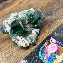 Load image into Gallery viewer, Fluorite-Greedy Hog Pocket