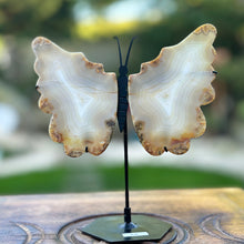 Load image into Gallery viewer, Iris Agate - Rare Butterfly Wings Carvings