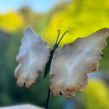 Load image into Gallery viewer, Iris Agate - Rare Butterfly Wings Carvings