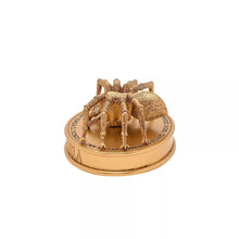 Load image into Gallery viewer, Warner Bros Harry Potter Herbology Figurine - Aragog