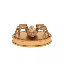 Load image into Gallery viewer, Warner Bros Harry Potter Herbology Figurine - Aragog