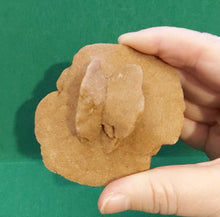 Load image into Gallery viewer, Desert Rose Formation