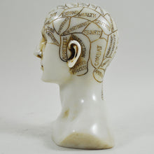 Load image into Gallery viewer, Phrenology Head