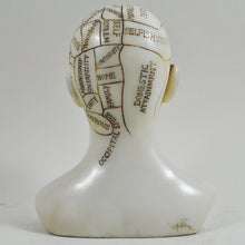 Load image into Gallery viewer, Phrenology Head