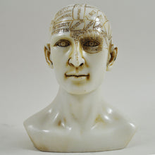 Load image into Gallery viewer, Phrenology Head