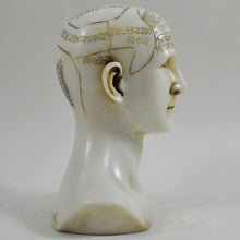 Load image into Gallery viewer, Phrenology Head