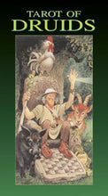 Load image into Gallery viewer, Tarot of the Druids