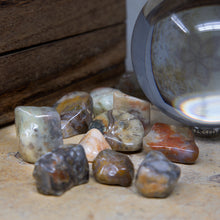 Load image into Gallery viewer, Coprolite