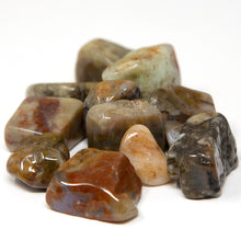 Load image into Gallery viewer, Coprolite