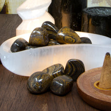 Load image into Gallery viewer, Stromatolite