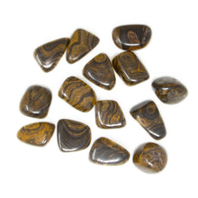 Load image into Gallery viewer, Stromatolite