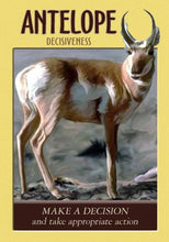 Load image into Gallery viewer, Power Animal Oracle Cards