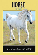 Load image into Gallery viewer, Power Animal Oracle Cards