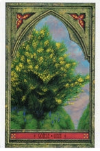Load image into Gallery viewer, The Spirit of Nature Oracle