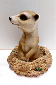 Vivid Arts Meerkat