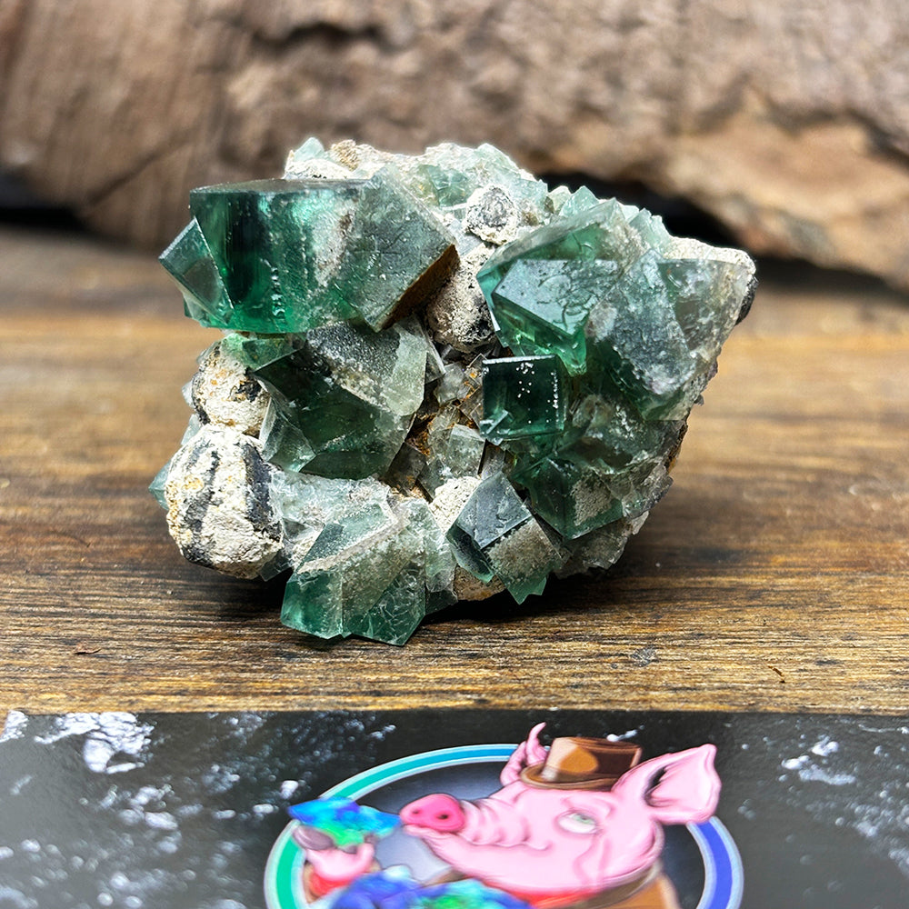 Fluorite-Greedy Hog Pocket