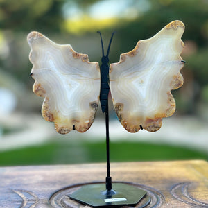 Iris Agate - Rare Butterfly Wings Carvings