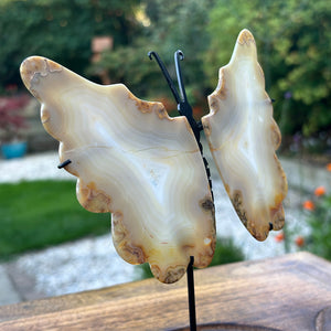 Iris Agate - Rare Butterfly Wings Carvings