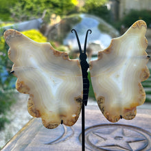 Load image into Gallery viewer, Iris Agate - Rare Butterfly Wings Carvings
