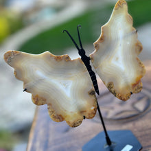 Load image into Gallery viewer, Iris Agate - Rare Butterfly Wings Carvings
