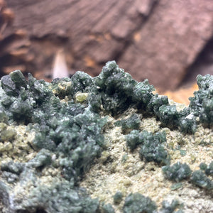 Forest Epidote Quartz