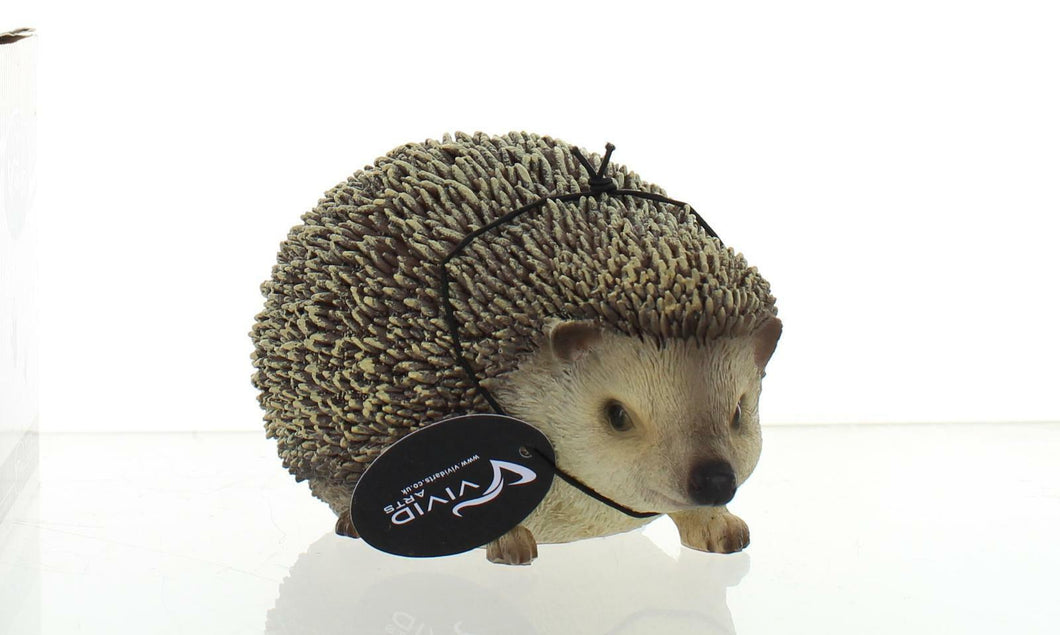 Vivid arts pet pal pygmy Hedgehog