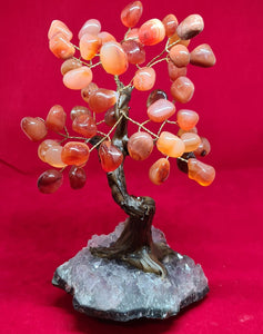 Crystal Tree - Carnelian