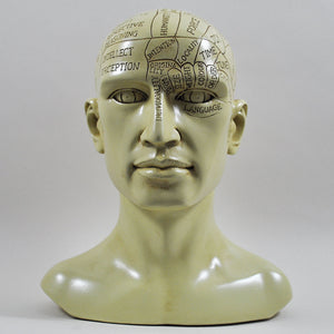 Phrenology Head by Tina Tarrant