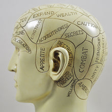 Load image into Gallery viewer, Phrenology Head by Tina Tarrant
