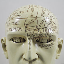 Load image into Gallery viewer, Phrenology Head by Tina Tarrant
