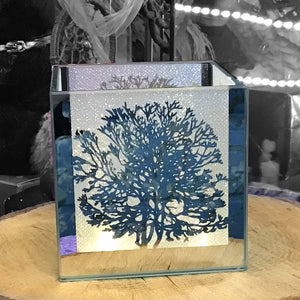 Mirror Glass Tree Design Box with LED Lights 8cm x 8cm - 186
