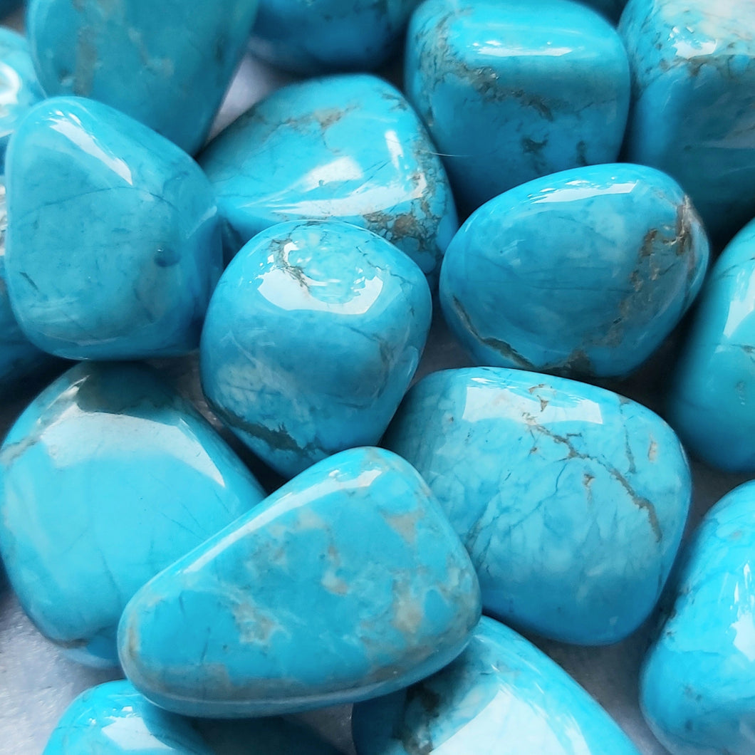 Blue Howlite