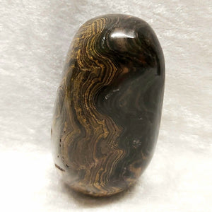 Stromatolite free form