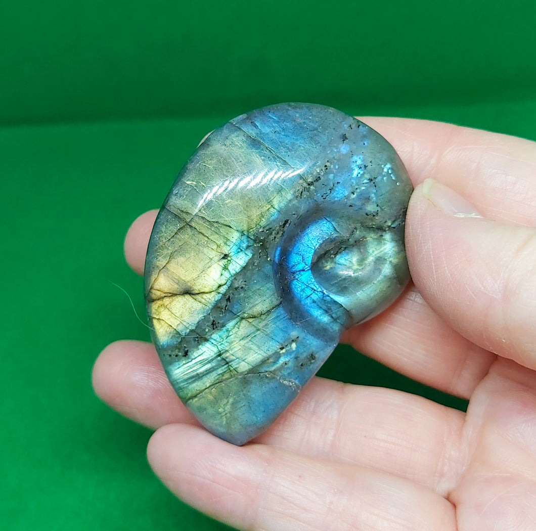 Labradorite Ammonite