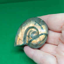 Load image into Gallery viewer, Labradorite Ammonite
