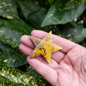 Bumblebee Jasper Polished Carved Star