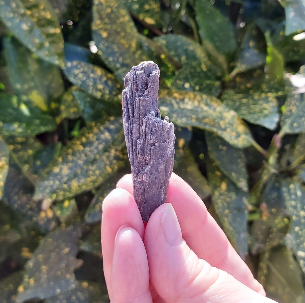 Black Kyanite Blade 14g