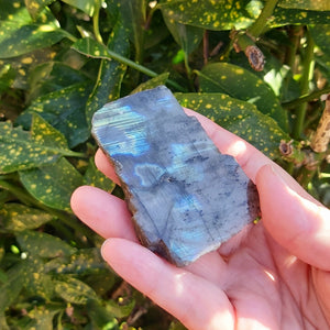 Labradorite Slice - Polished One Side 81g