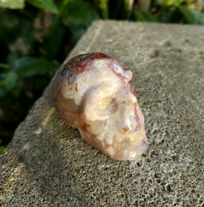 Crazy Lace Agate Crystal 💀 Skull 93g