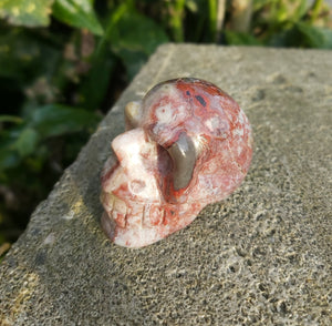 Crazy Lace Agate Crystal 💀 Skull 93g