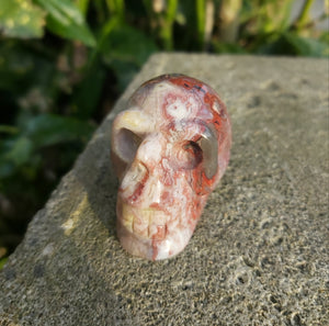 Crazy Lace Agate Crystal 💀 Skull 93g