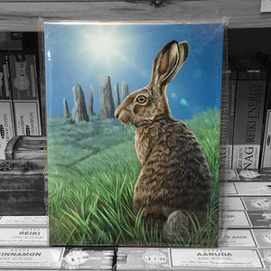 Solstice Hare 19 x 25 cm Canvas Wall Plaque by Lisa Parker - 212