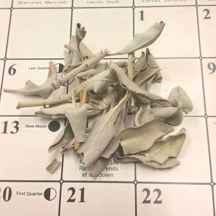 Loose Californian White Sage 30g