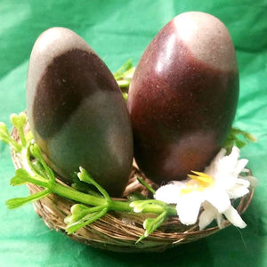 Shiva Lingam Egg
