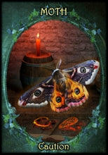 Load image into Gallery viewer, Witches&#39; Familiars Oracle cards
