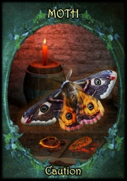 Witches' Familiars Oracle cards