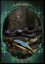 Load image into Gallery viewer, Witches&#39; Familiars Oracle cards
