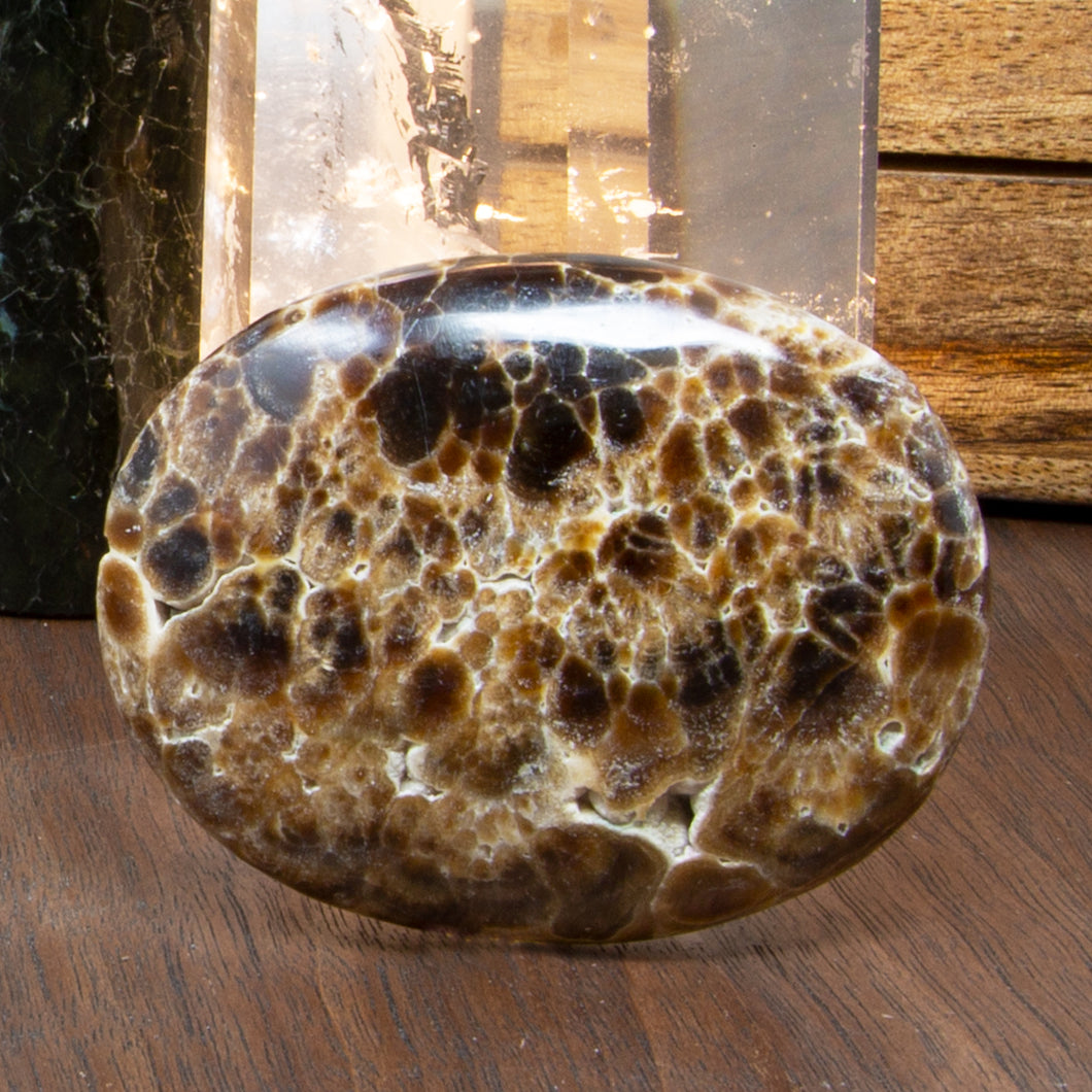Aragonite Palmstone with Natural Inclusions