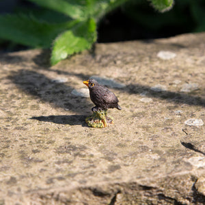 Blackbird - Miniature World